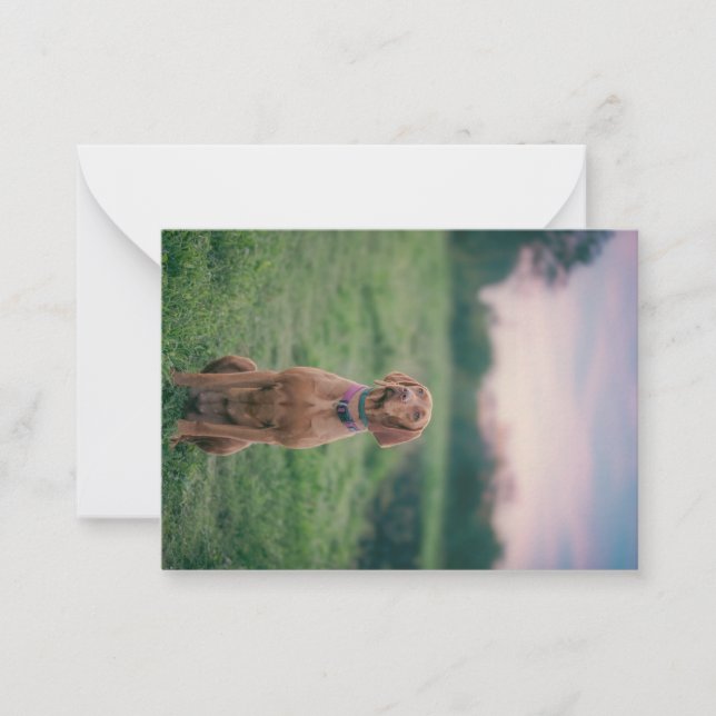 vizsla sitting card (Front)