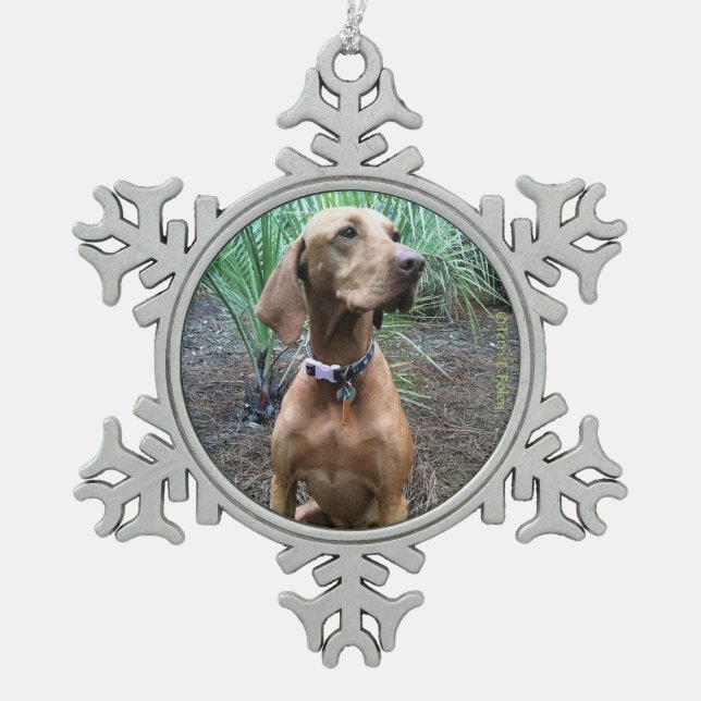 Vizsla Snowflake Christmas Ornament (Front)