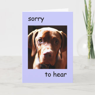 Vizsla - sorry to hear you're pawly card