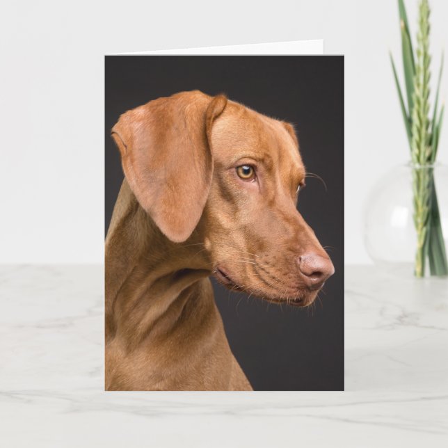 Vizsla Sporting Dog Thank You Card (Front)