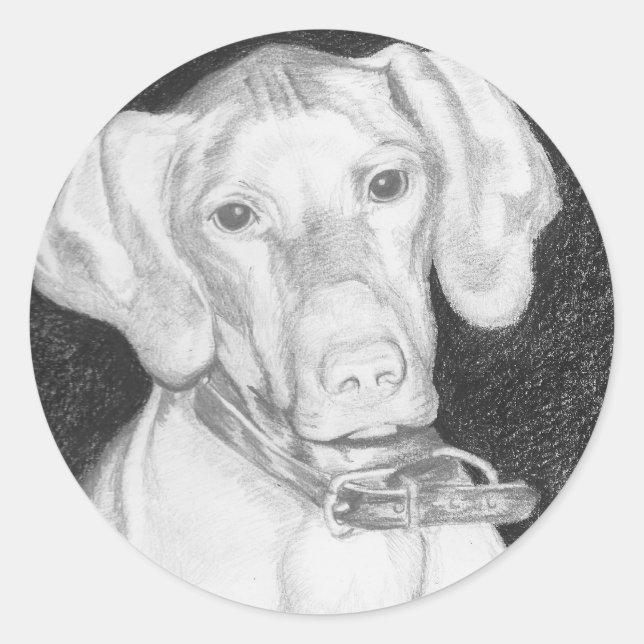 Vizsla Stickers (Front)