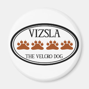 Vizsla The Velcro Dog magnet