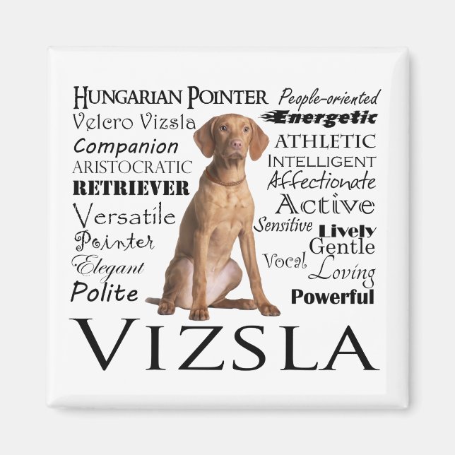 Vizsla Traits Magnet (Front)
