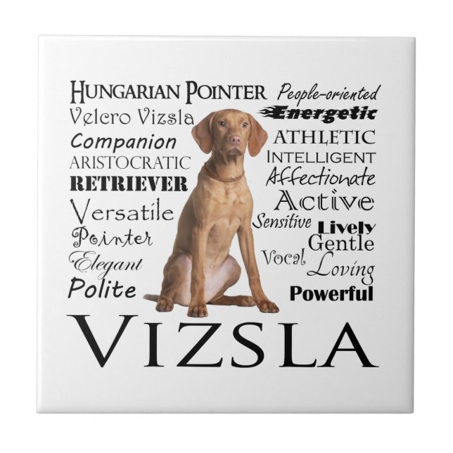 Vizsla Traits Tile (Front)
