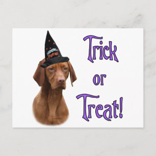 Vizsla Trick Postcard