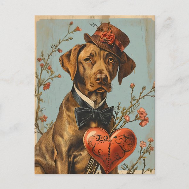 Vizsla Vintage Valentine's Day  Postcard (Front)