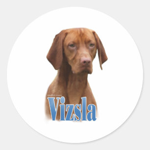 Vizsla; Vizsla Dog Breed; Vizsla dog; Vizsla Breed Classic Round Sticker