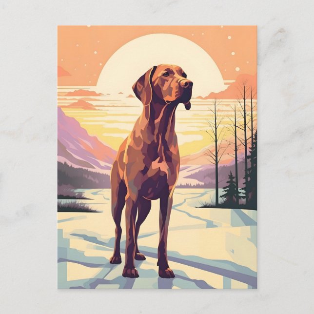 Vizsla winter mountain forest during sunset postcard (Front)
