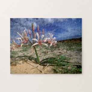 Vlei Lily (Nerine Laticoma) In Flower Jigsaw Puzzle