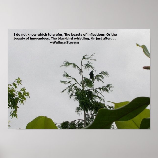 Voice Painting Poster (Front)