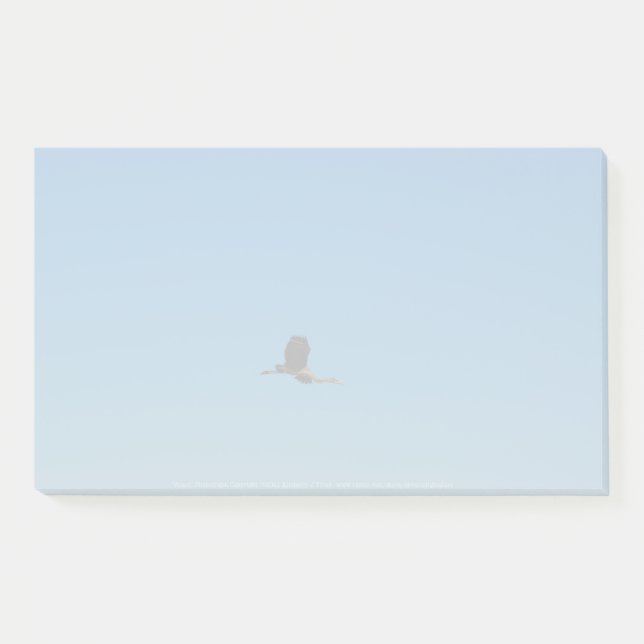 Volant Post-it Notes (Front)