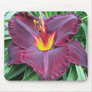 Volcanic Daylily Mousepad