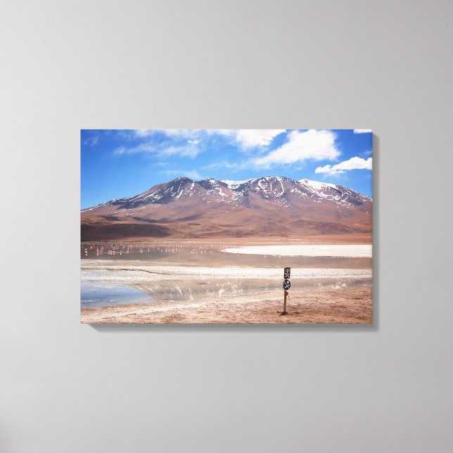 Volcano in an Altiplano landscape canvas (Front)