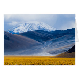 Volcano Incahuasi, Argentina