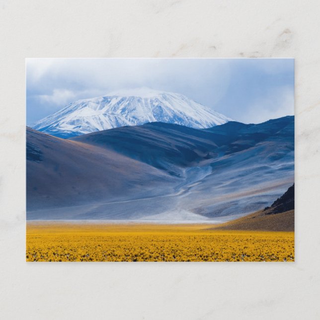 Volcano Incahuasi, Argentina Postcard (Front)