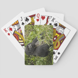 Volcanoes National Park, Mountain Gorilla Playing Cards