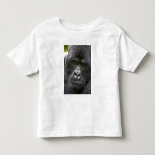 Volcanoes NP, Rwanda, Mountain Gorillas, Toddler T-Shirt