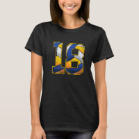 Volleyball 18th Birthday Boy Girl Eighteen 18 Year