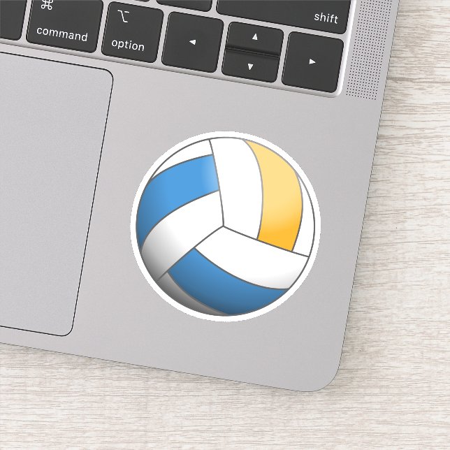 Volleyball Ball (Detail)