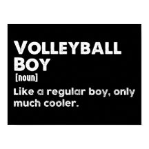Volleyball Boy Funny Dictionary Definition