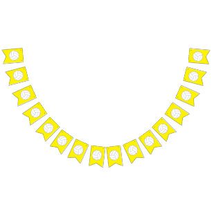 Volleyball Kids Birthday Party Sports Bunting