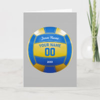 Volleyball Player's Name Year Team Blue and Yellow