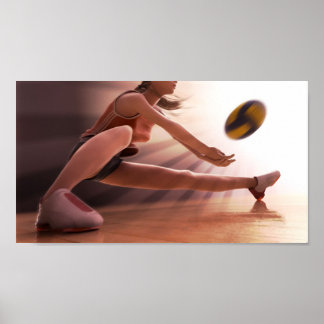 VolleyBall Poster