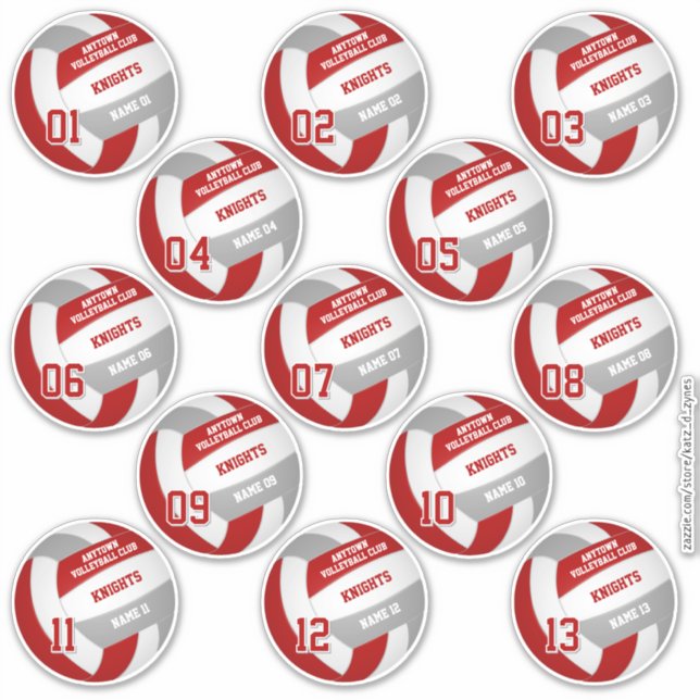 volleyball team members set of 13 red grey (Front)