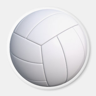 VOLLYBALL MAGNET