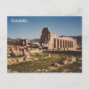 Volubilis - Morocco Postcard
