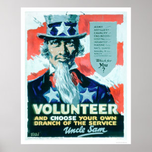 Volunteer and Choose your Branch (US02082) Poster