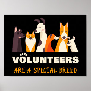 Volunteers Are a Special Breed Dog Rescue Shelter Poster