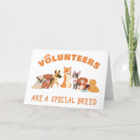 Volunteers Are a Special Breed Dog Rescue Shelter