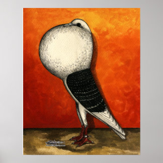 Voorburg Cropper Pigeon Blue Check Poster