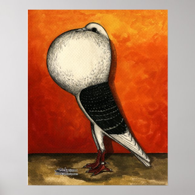 Voorburg Cropper Pigeon Blue Check Poster (Front)