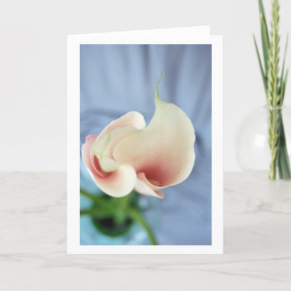 Vortex White Calla Lily Art Photo Note Cards