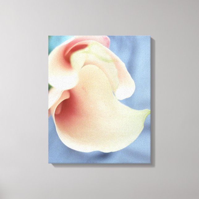 Vortex White Calla Lily Floral Canvas Art Print (Front)