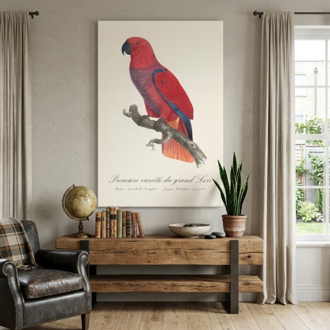 Vosmaer Eclectus Parrot, Eclectus Roratus Vosmaeri Canvas Print (Vosmaer Eclectus Parrot, Eclectus Roratus Vosmaeri. Canvas Print)