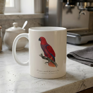 Vosmaer Eclectus Parrot, Eclectus Roratus Vosmaeri Coffee Mug