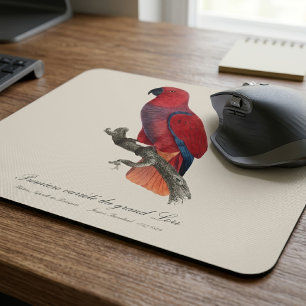 Vosmaer Eclectus Parrot, Eclectus Roratus Vosmaeri Mouse Pad