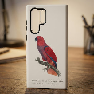 Vosmaer Eclectus Parrot, Eclectus Roratus Vosmaeri Samsung Galaxy Case