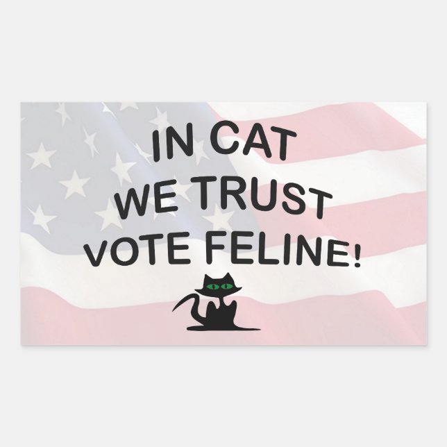 Vote Cat with American Flag Rectangular Sticker (Front)