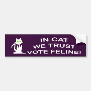 Vote Cat with White Text Bumper Sticker