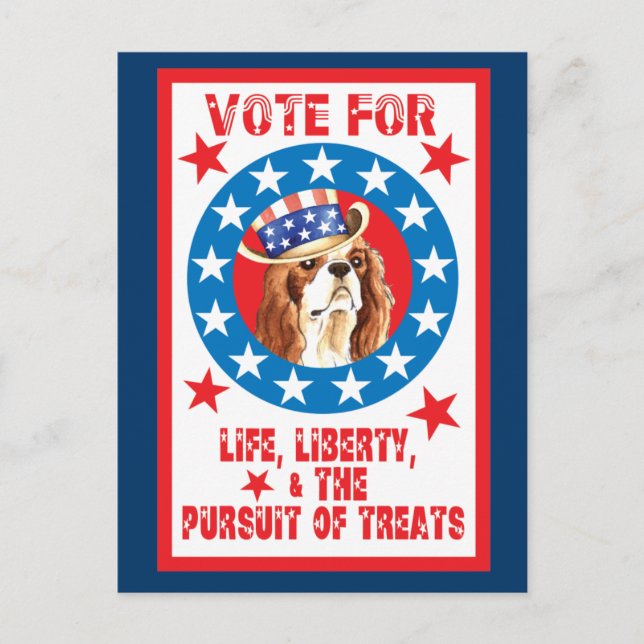 Vote for Cavalier Postcard (Front)