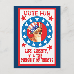 Vote for Chihuahua Postcard