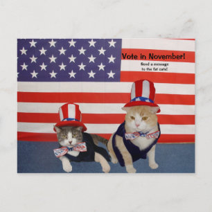 Vote in November! Postcard