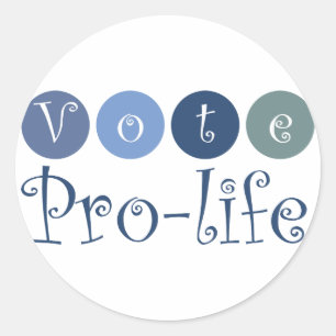 Vote pro-life classic round sticker