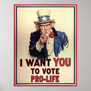 Vote Pro-Life Poster