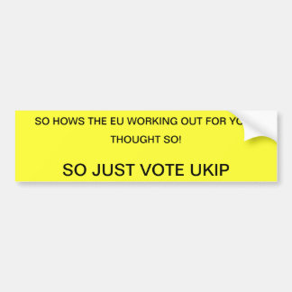 VOTE  UKIP BUMPER STICKER