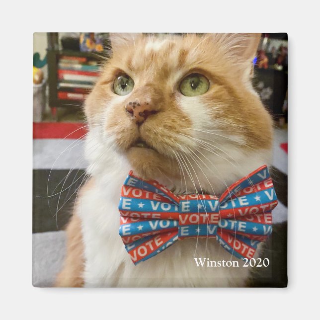 Vote Winston Magnet (Front)